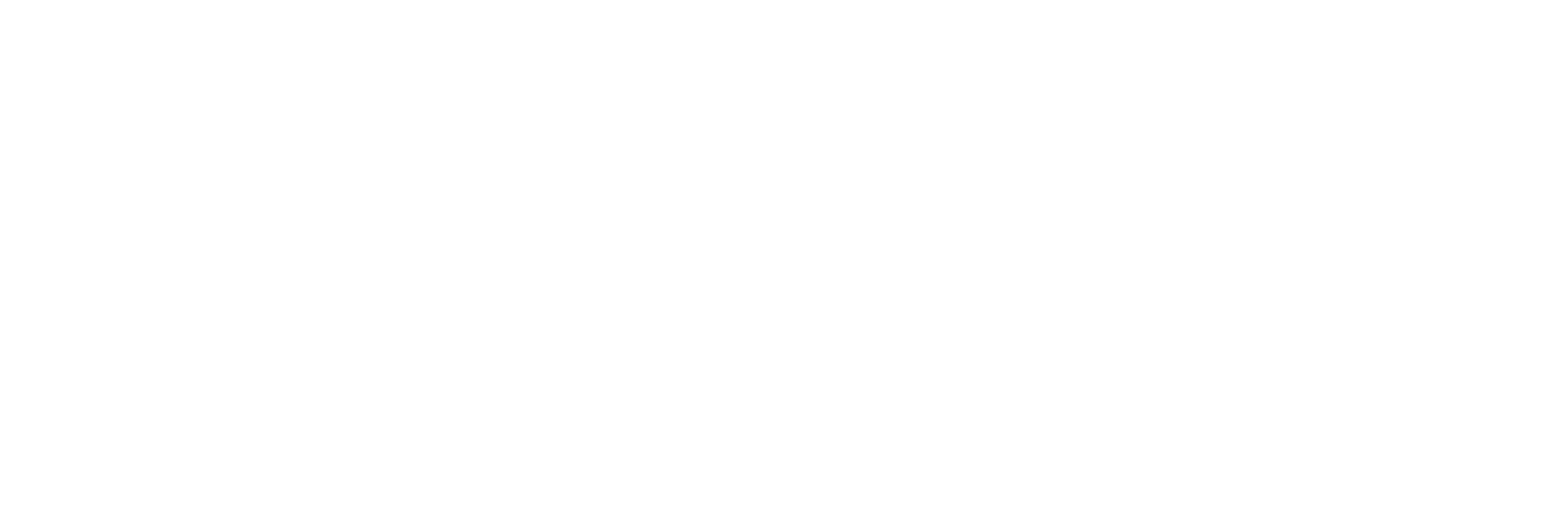 logicat logo